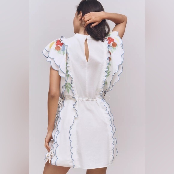 Farm Rio x Anthropologie Embroidered mini Dress - Picture 2 of 4
